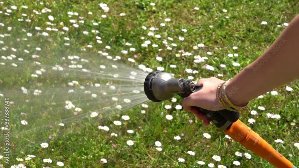 Jeune fille arrosant la pelouse verte et les pâquerettes blanches avec un le jet d'un tuyau d'arrosage