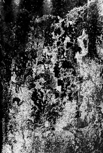 Wallpaper Mural Unique picture drawn by nature that revealed itself on natural object like bark, stone, wall etc. the more you watch the more you see Torontodigital.ca