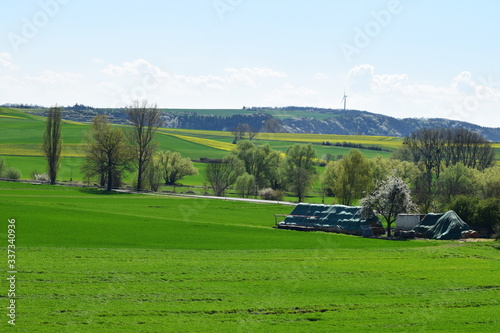 Frühlingsblüte in Thürer Wiesen, Eifel 2020 photo