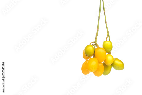 Fototapeta Naklejka Na Ścianę i Meble -  Medicinal neem seed fruits with twigs over white background