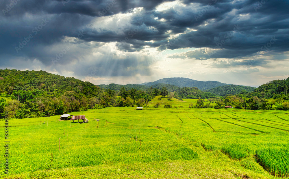 Beautiful green rice terraces that grow on the foothills during planting time while the rain clouds with the sunray passing through the clouds.