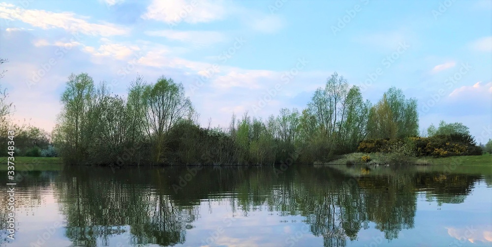 reflection of trees in water