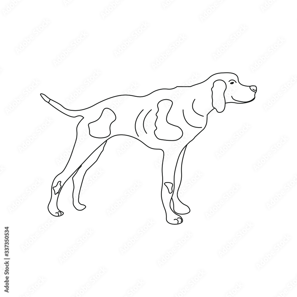 hunting dog with spots, vector illustration