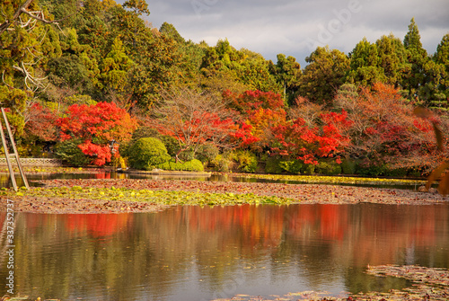 autumn landscape with lake and trees