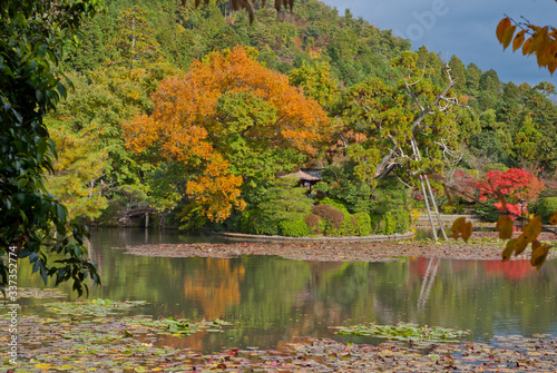 autumn landscape with trees and pond