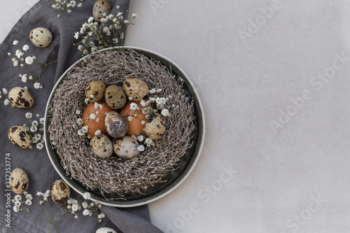 Easter concept. Chicken, quail eggs and flowers in a nest. Negat