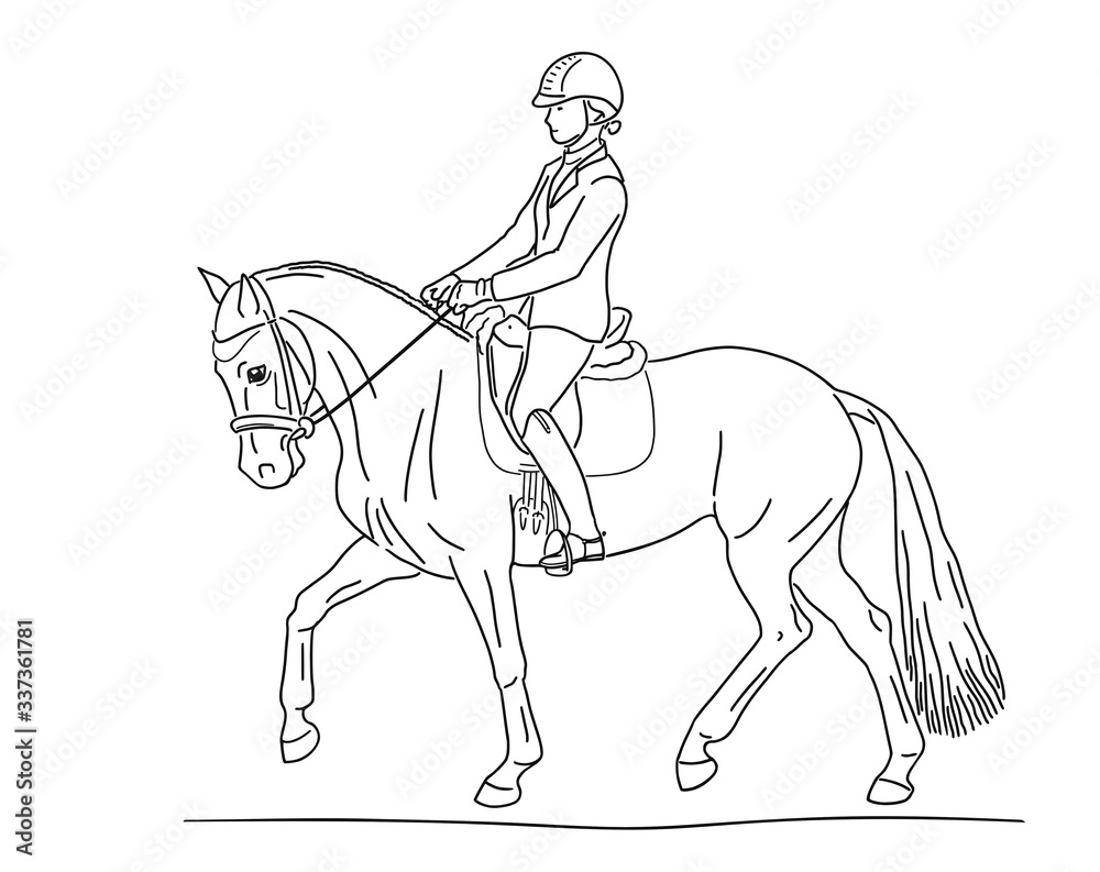 Dressage riding pony with rider trotting at a tournament.