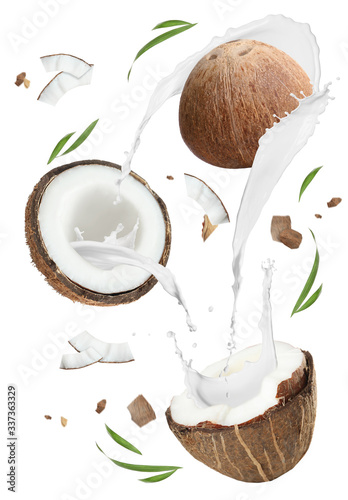 Exotic coconuts and splashes of milk isolated on white