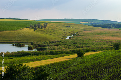 Green fields of farmland on a hilly terrain photo