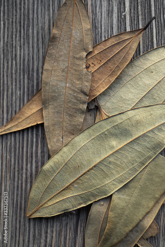 Indian bay leaves on wooden background photo