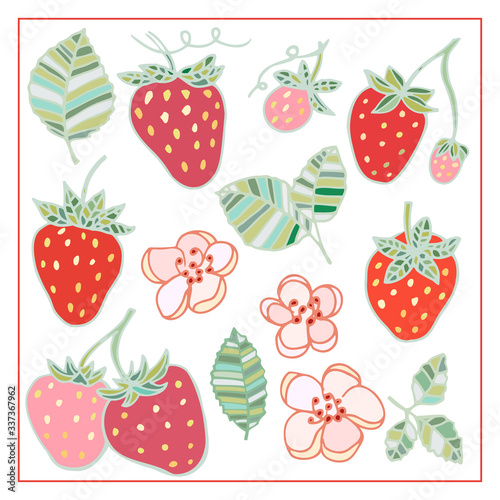 Strawberry leaves flowers doodle hand drawn graphics vector