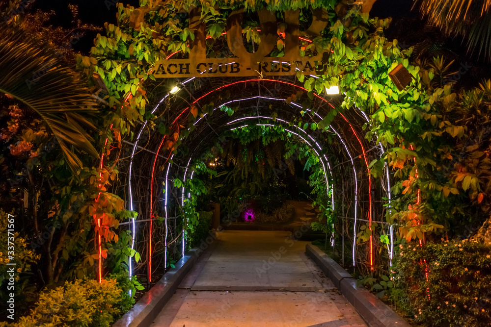 Dark tunnel with neon lights and flowers in park at night