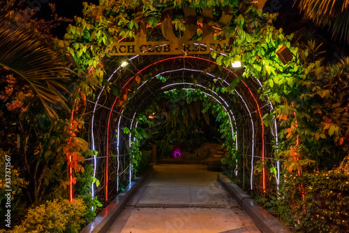 Dark tunnel with neon lights and flowers in park at night