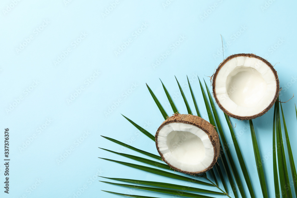 Coconut and palm branch on blue background, top view Coconut and palm branch on blue background, top view