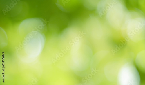 Bokeh background from green leaves on the tree With green bokeh And beautiful light green and white This picture was taken during the summer season. The image is very good in the summer.