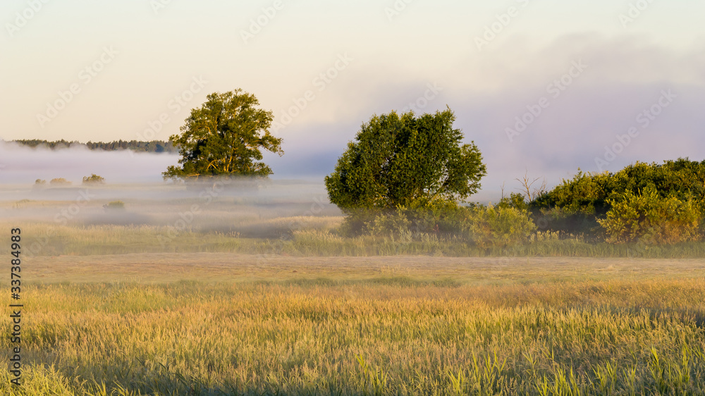 Poranne mgły nad Narwią. Dolina Górnej Narwi, Podlasie, Polska