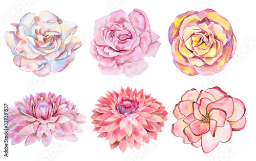 Set of six watercolor handmade flowers isolated on white background.