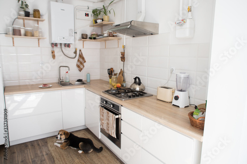 cozy and bright kitchen, Scandinavian interior