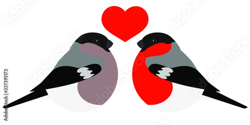 two birds on a branch with love. Bullfinches and heart