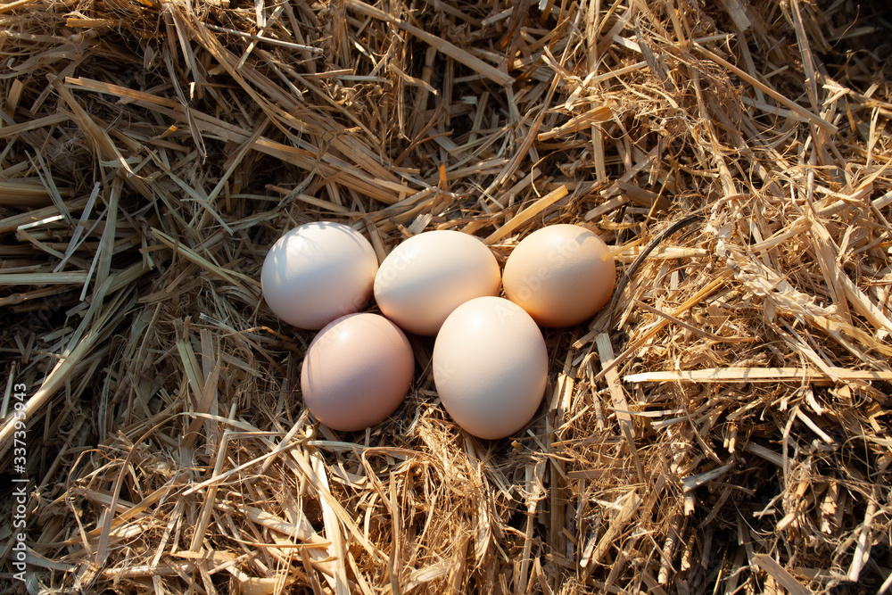 Many eggs lie on the background of hay, top view.