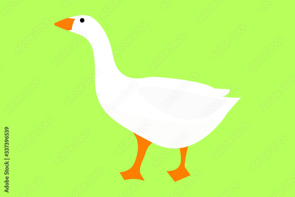 Obraz premium goose on a green background