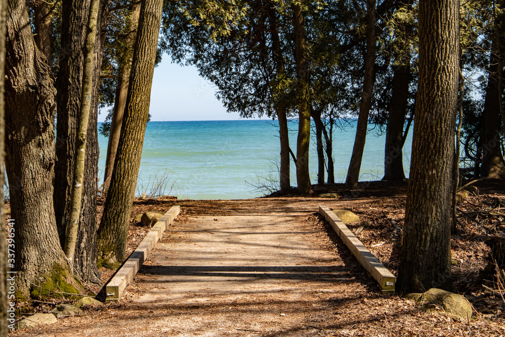 Path to the lake through the trees