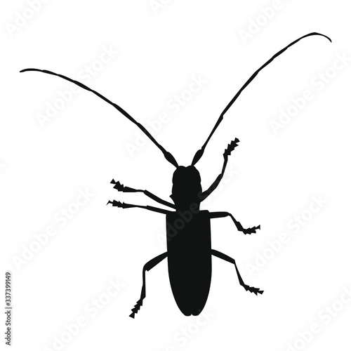 vector illustration of a bug photo