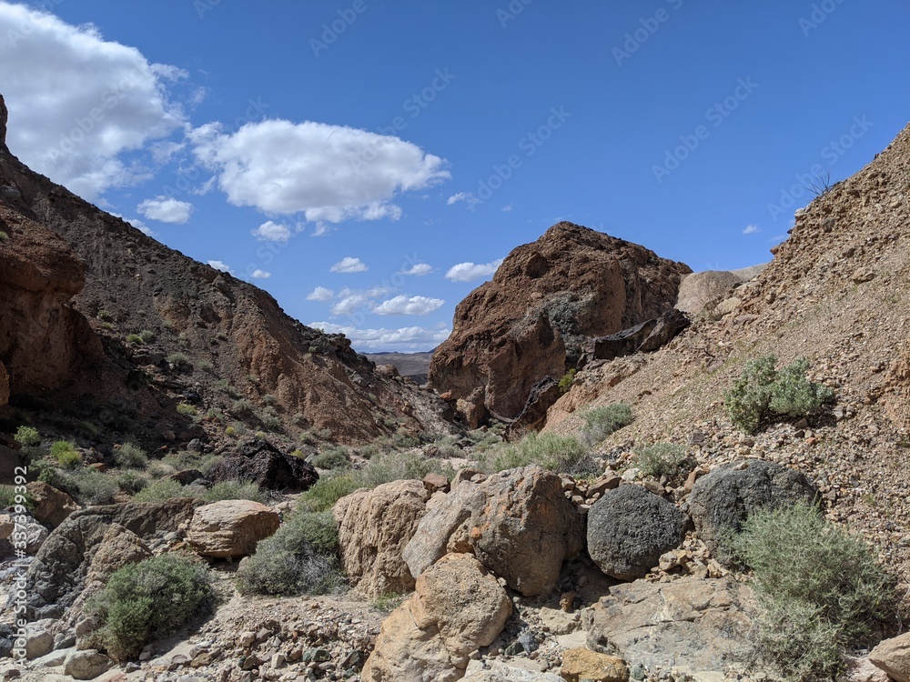 Fototapeta premium desert sky