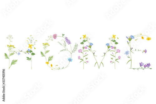 Watercolor hand drawn wild meadow floral word Home isolated on white background. Flower letter for poster, print, summer card, design etc. © Lelakordrawings