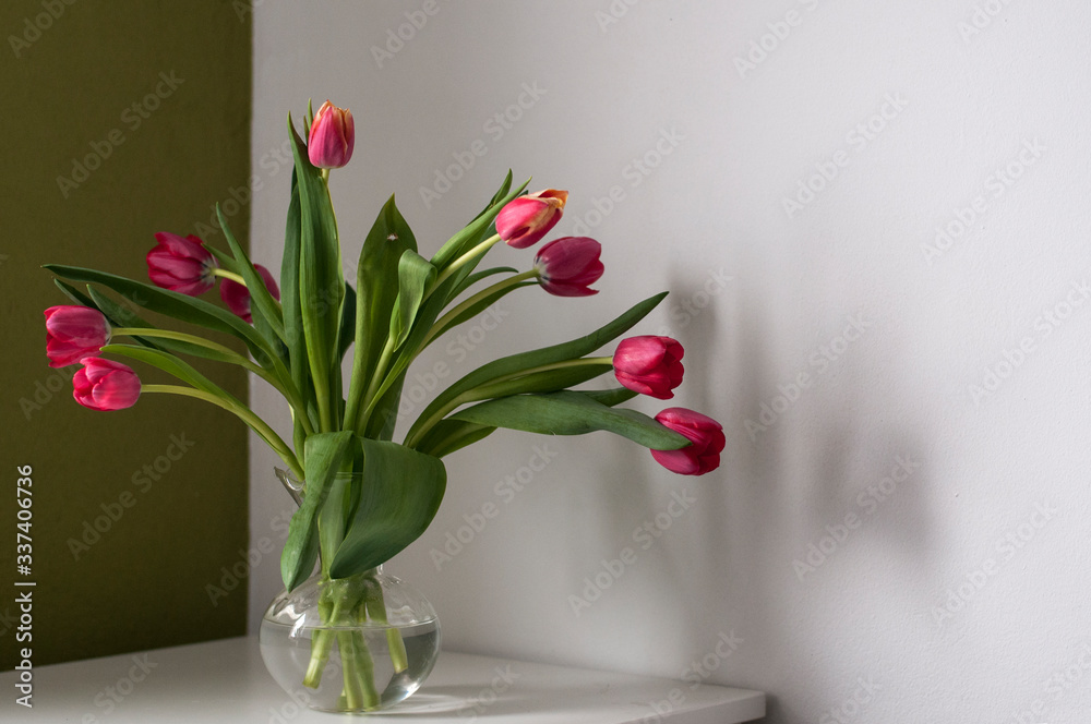 tulips in vase tulips in vase