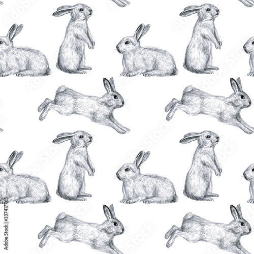 Canvas Print Funny bunnies