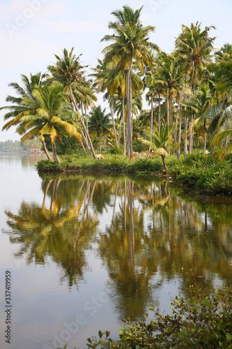 Canals in the Back Waters in Kerala