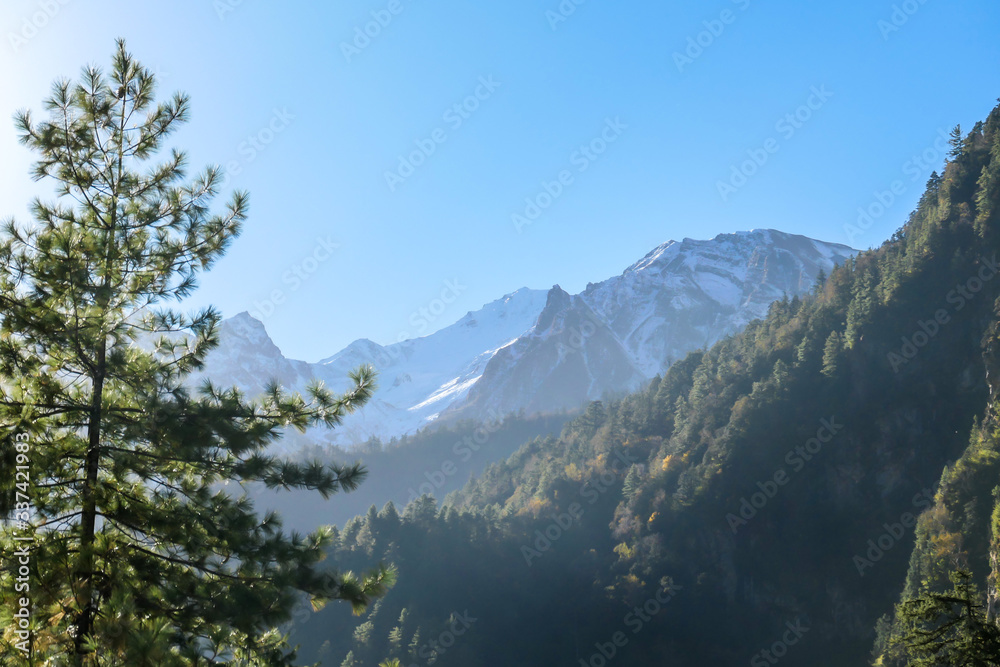 View on Himalayas along Annapurna Circuit Trek, Nepal. There is a dense forest in front. High, snow caped mountains' peaks catching the sunbeams. Serenity and calmness. Barren slopes