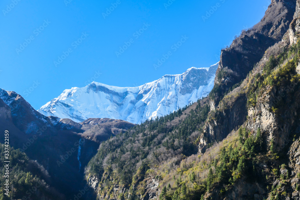 View on Himalayas along Annapurna Circuit Trek, Nepal. There is a dense forest in front. High, snow caped mountains' peaks catching the sunbeams. Serenity and calmness. Barren slopes