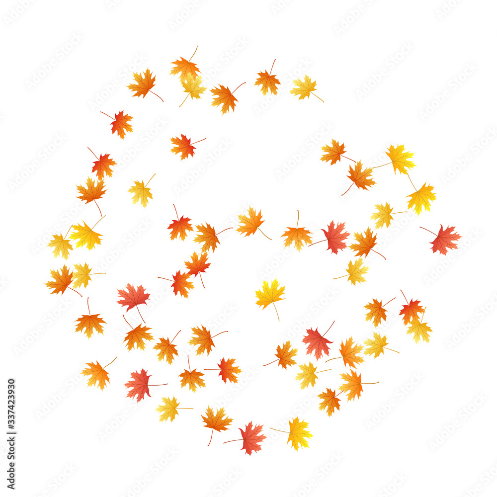 Maple leaves vector background, autumn foliage on white graphic design. Maple leaves vector background, autumn foliage on white graphic design.