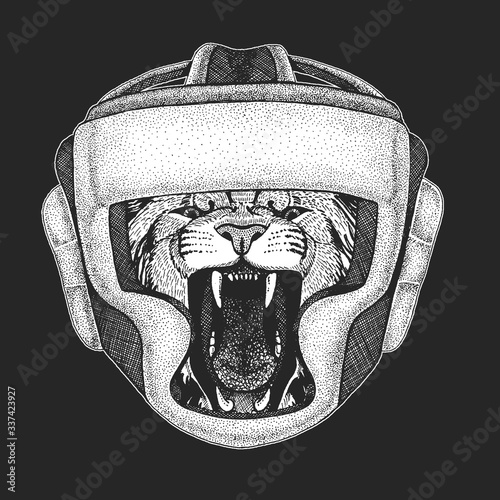 Lion. Boxing helmet. Boxer. Wild animal portrait. Face of african cat.
