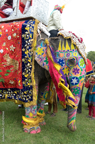 colorful elephant , festival , Jaipur, Rajasthan, India  © N | R