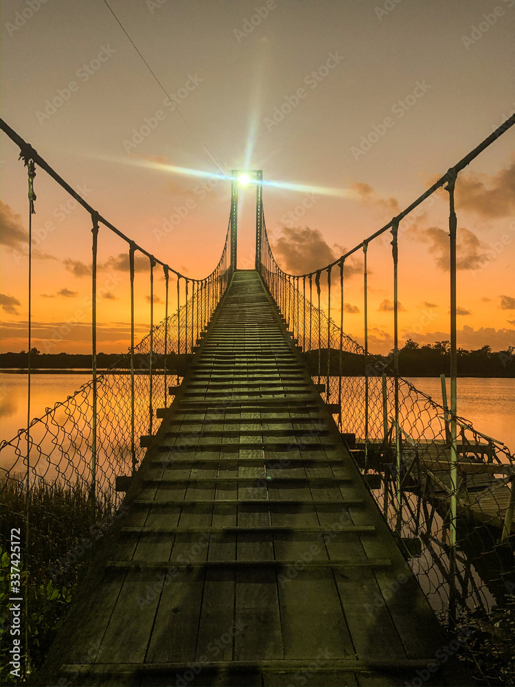 Obraz premium bridge over the river