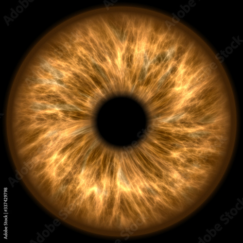 human iris eye