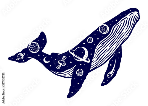 Whale universe illustration