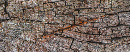 old wood slice with cracks, abstract texture