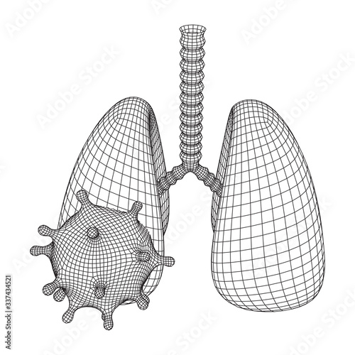 Corona Virus and Lungs with trachea bronchi internal organ human. Covid virus pulmonology medicine science concept. Wireframe low poly mesh vector illustration.