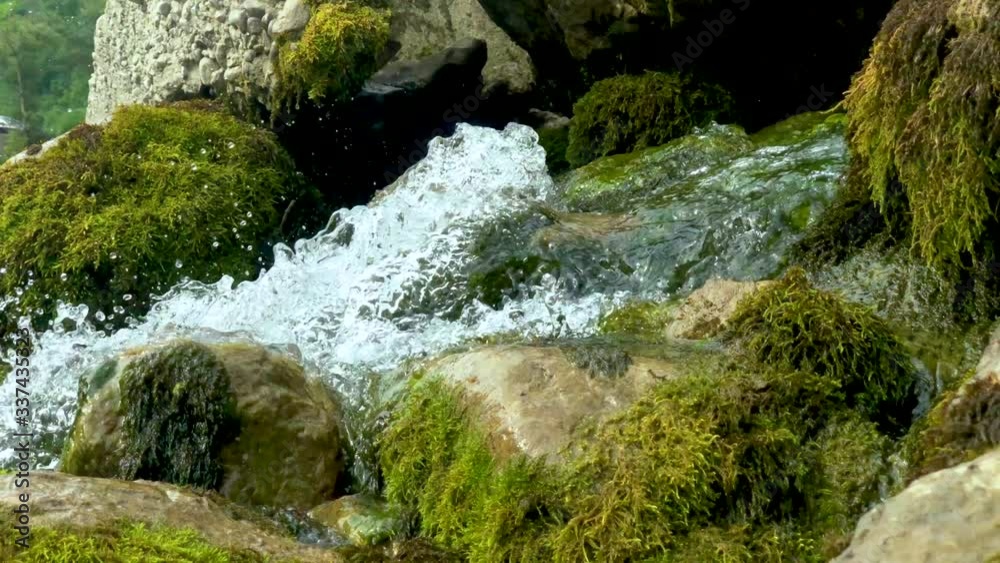 A small forest mountain stream flows through large stones overgrown with green moss. Forest stream close-up. A small forest mountain stream flows through large stones overgrown with green moss. Forest stream close-up.