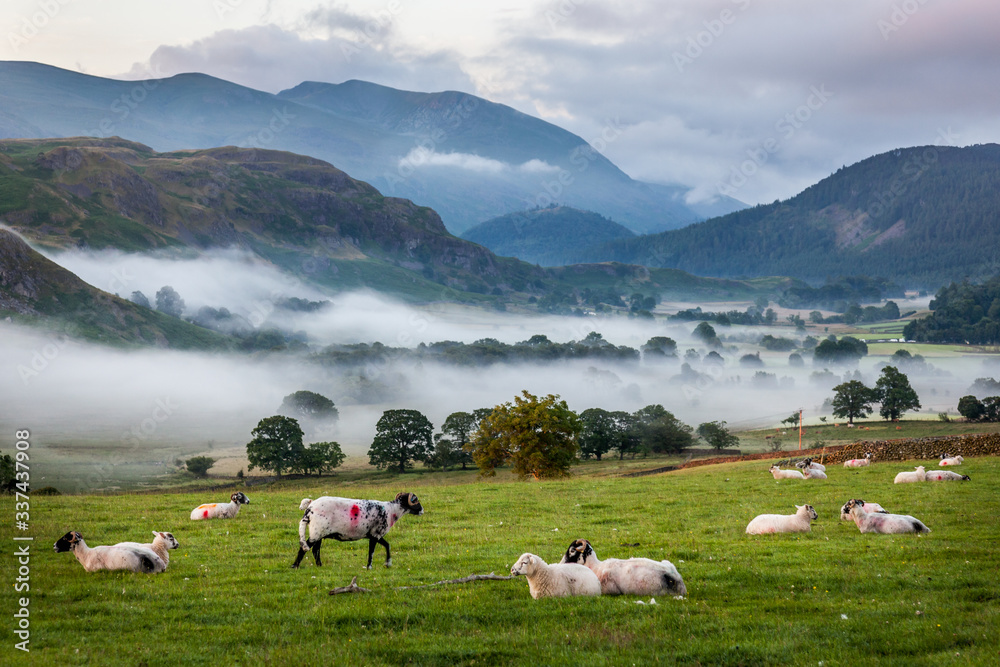 Fototapeta premium misty landscape from castlerigg, cumbra