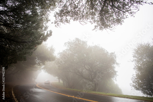 A rural road with fog and bad weather during winter. 