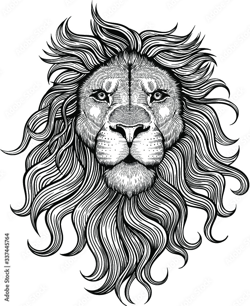Vector Black and White Lion Head Illustration Stock Vector | Adobe Stock