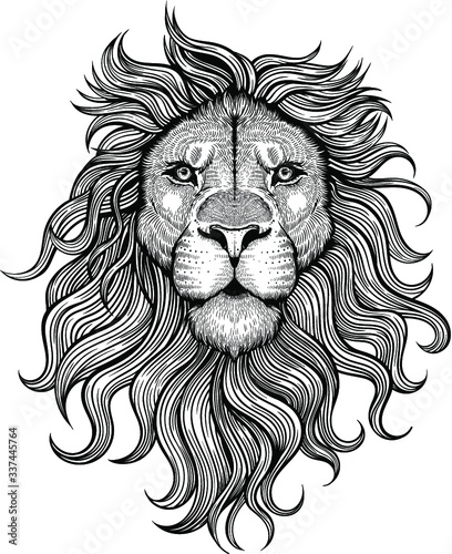 Vector Black and White Lion Head Illustration