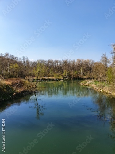 See im Wald, grün