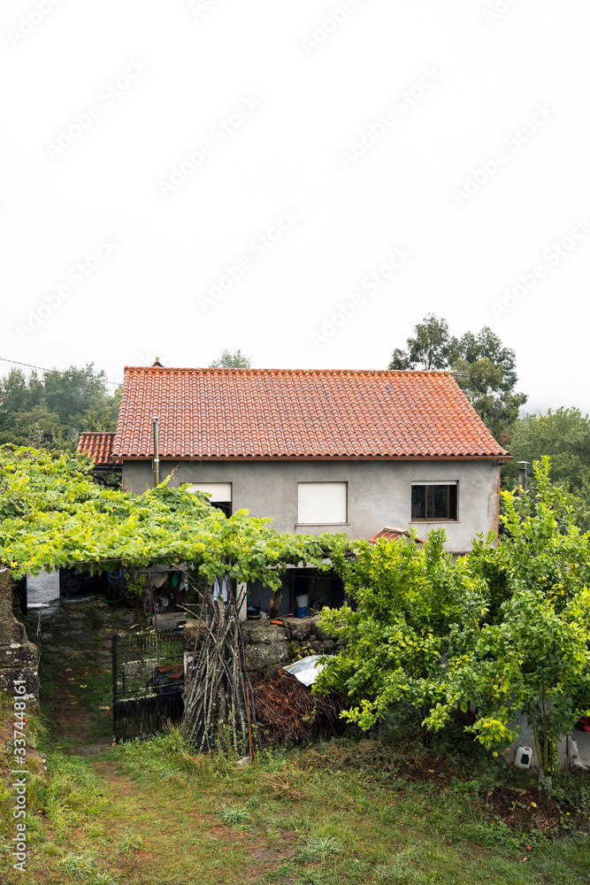 Vertical view of countryside house in the north of Spain, Galicia. Winter seasonal time. Humidity and rainy weather inside home. Nature rural landscape on green field with rustic houses.