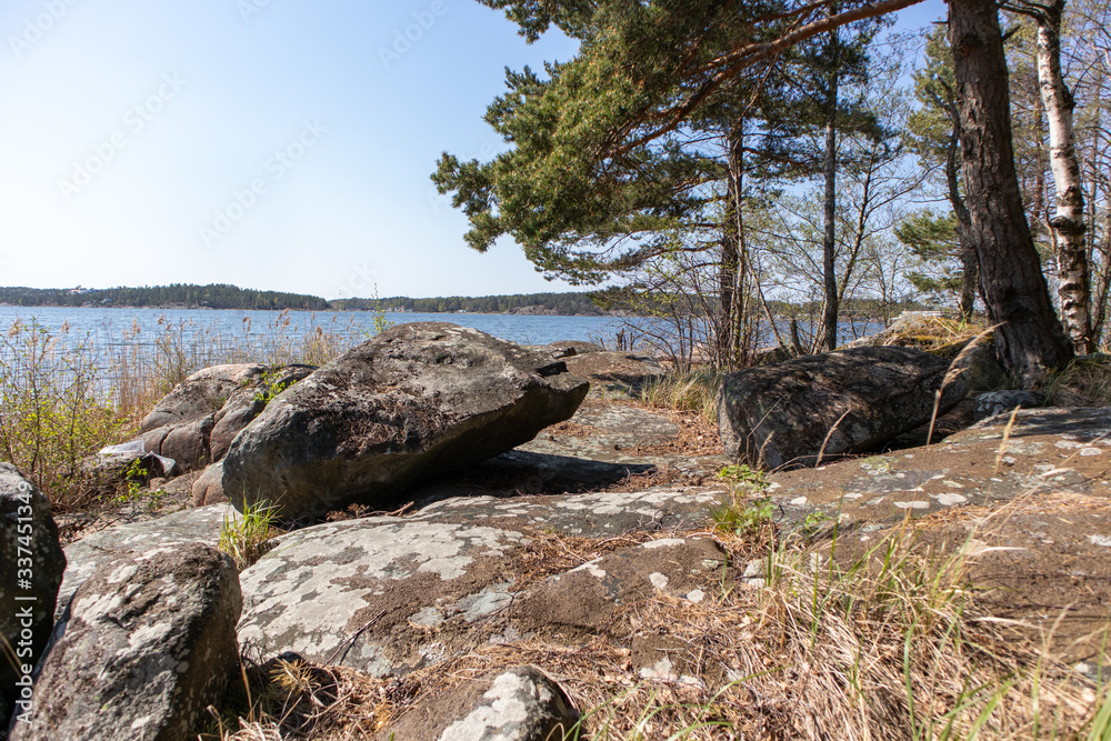 Sweden on the island within the forest